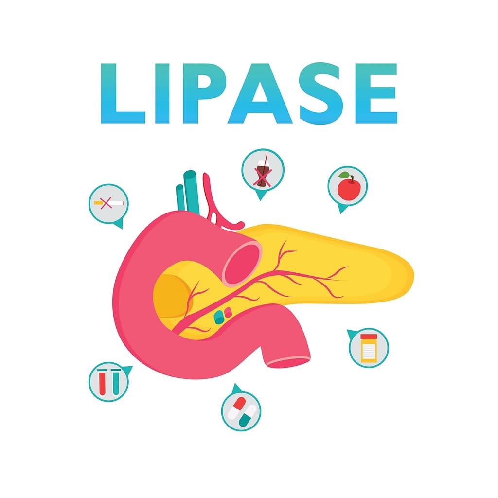 lipase-befund