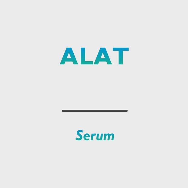 Alanin Aminotransferase (ALAT)