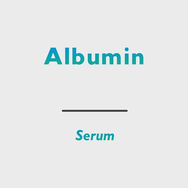 Albumin