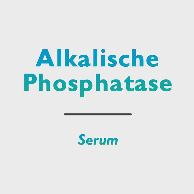 Alkalische Phosphatase (AP)