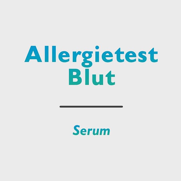 Allergietest Blut (screning)