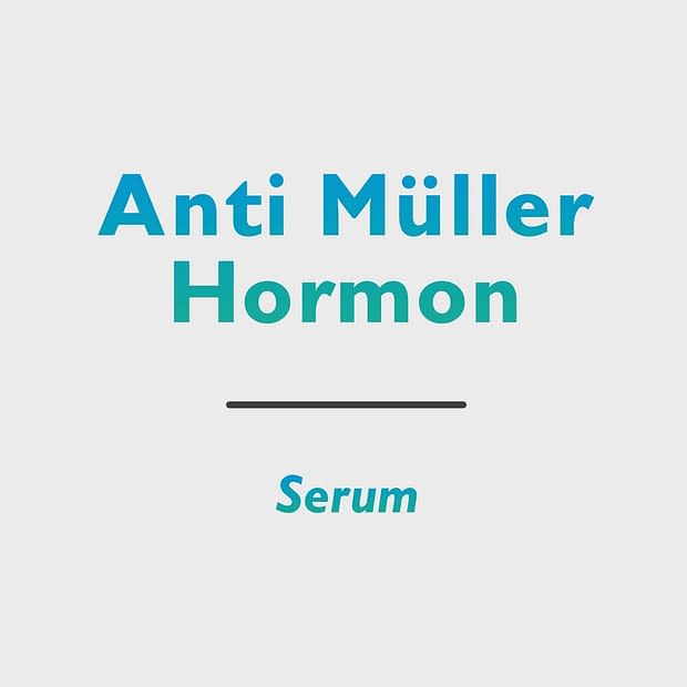 Anti Müller Hormon (AMH)