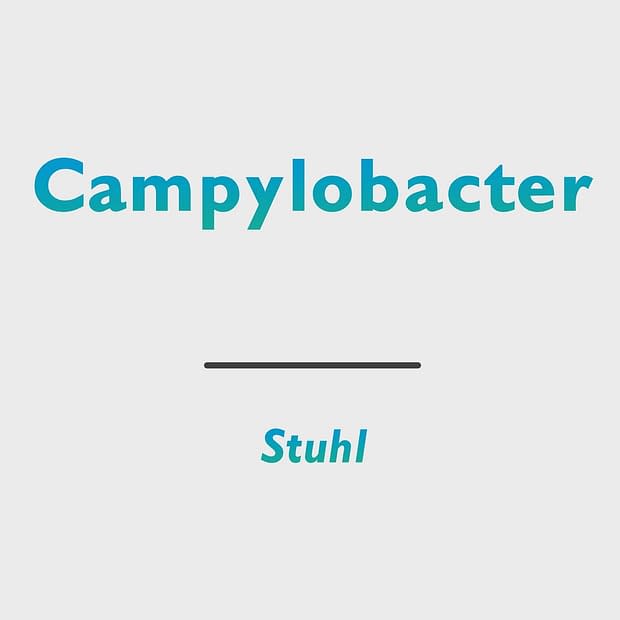 Campylobacter