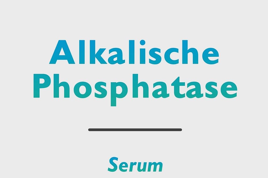 Alkalische Phosphatase (AP)
