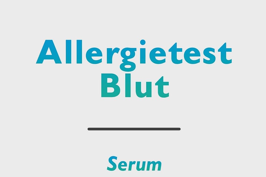 Allergietest Blut (screning)