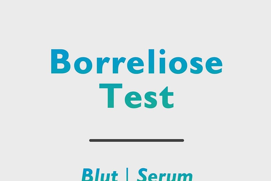 Borreliose Test (Lyme)