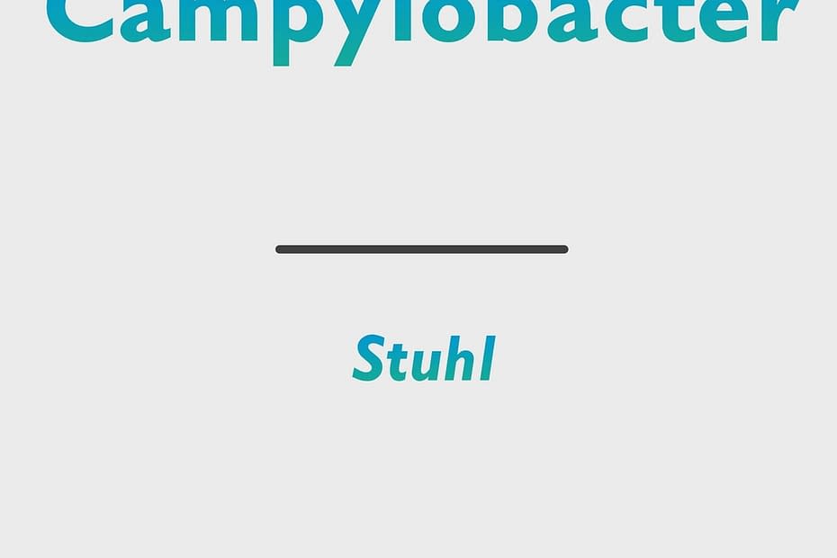 Campylobacter