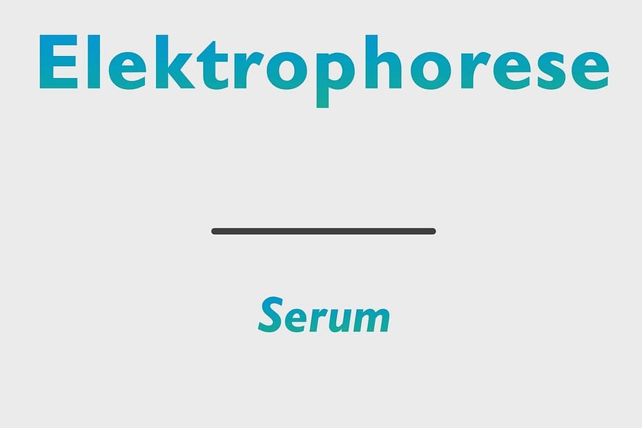 Elektrophorese (Gesamteiweiß)