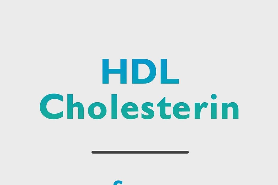 HDL Cholesterin
