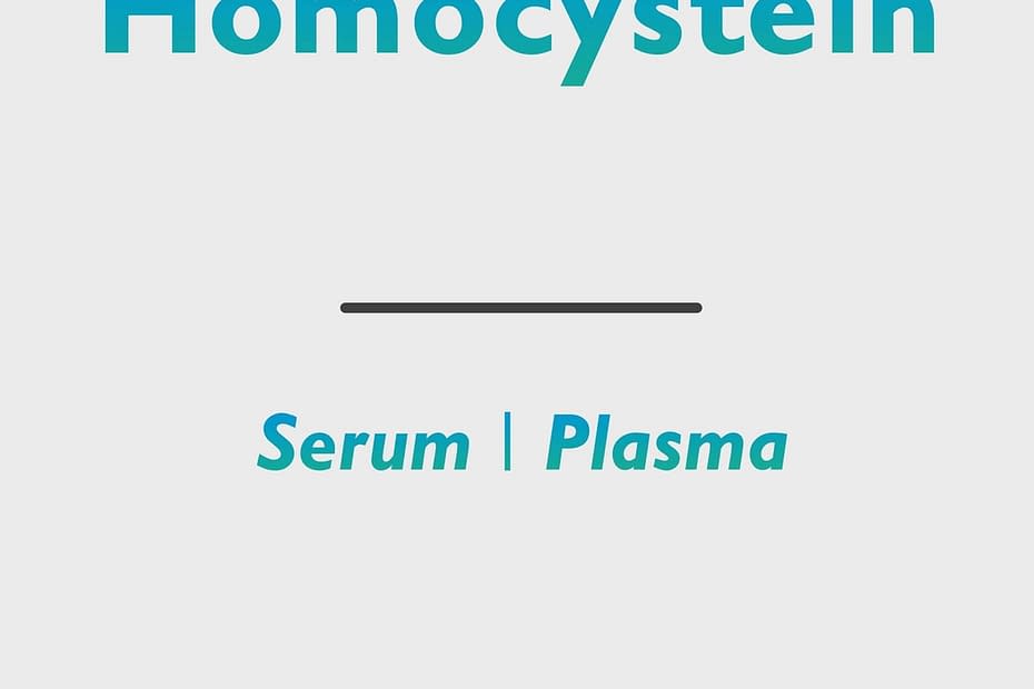 Homocystein