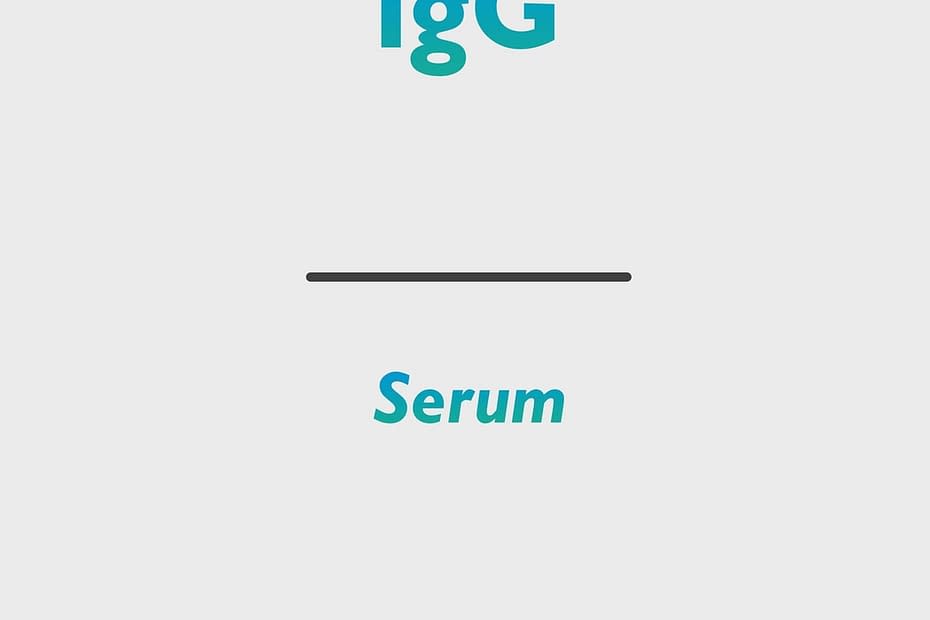 IgG (Immunglobulin G)
