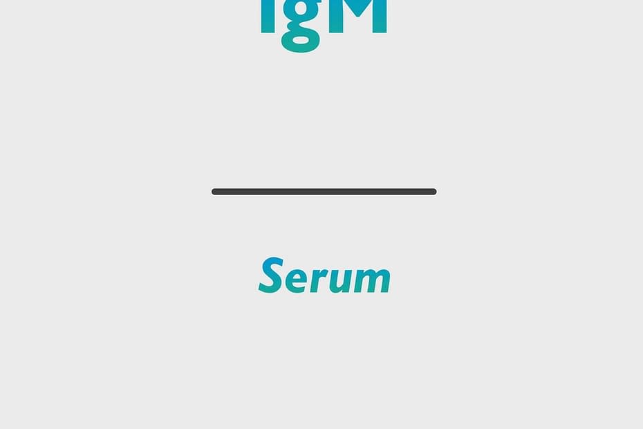 IgM (Immunglobulin M)