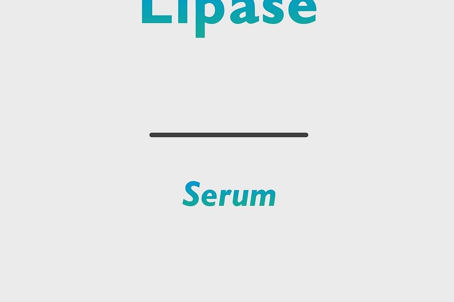 Lipase