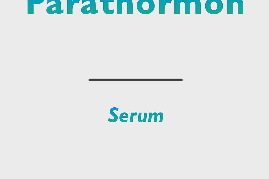 Parathormon (PTH, parathyroid hormone)