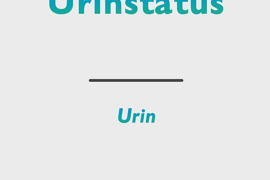 Urinstatus (Urinalysis)