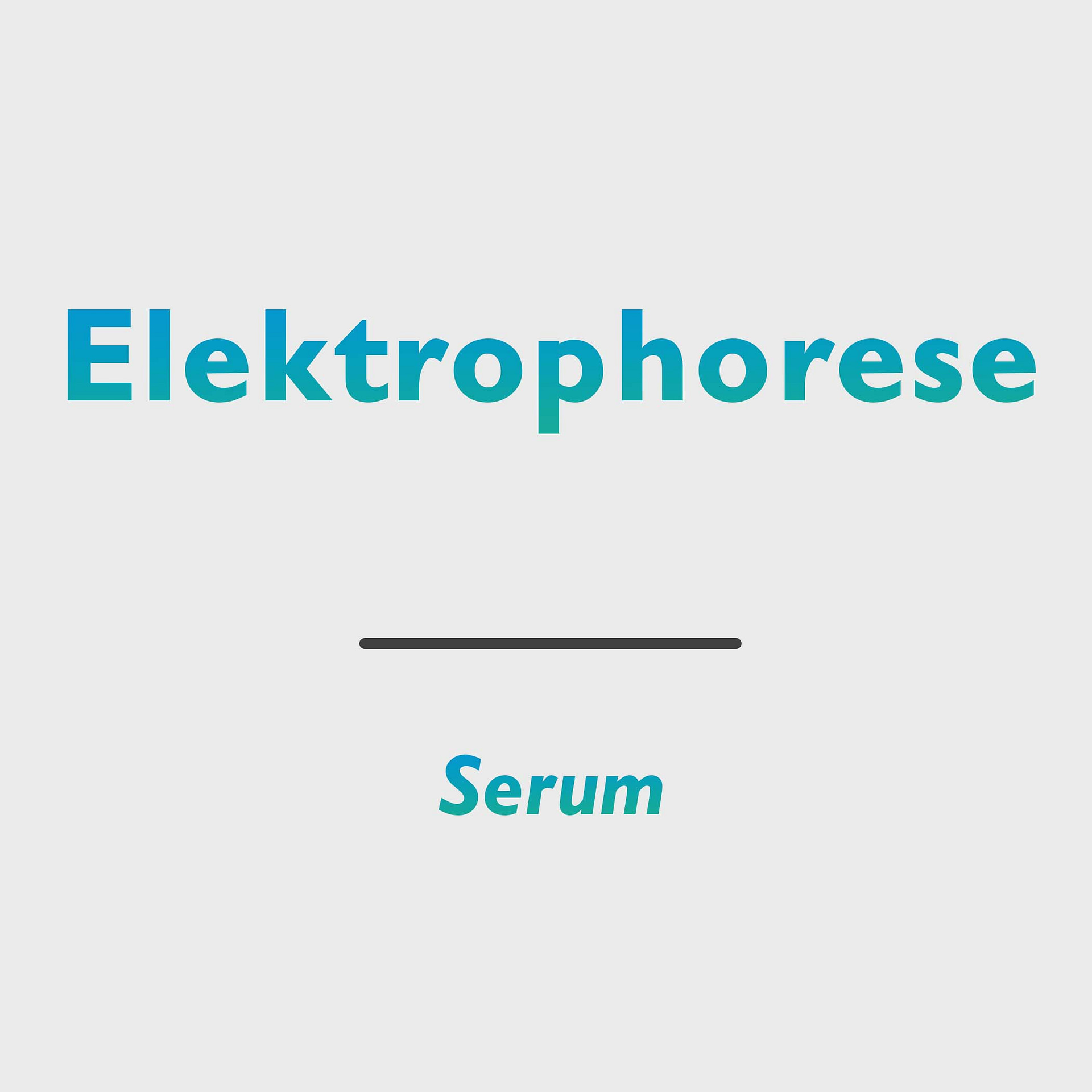 Elektrophorese (Gesamteiweiß)