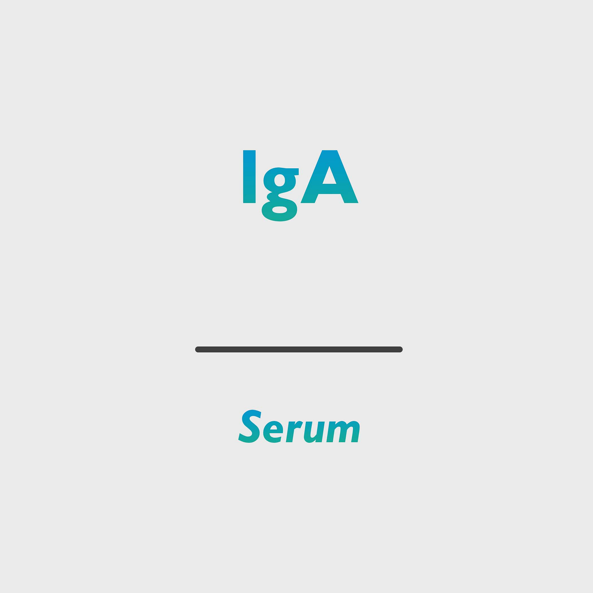 IgA (Immunglobulin A)