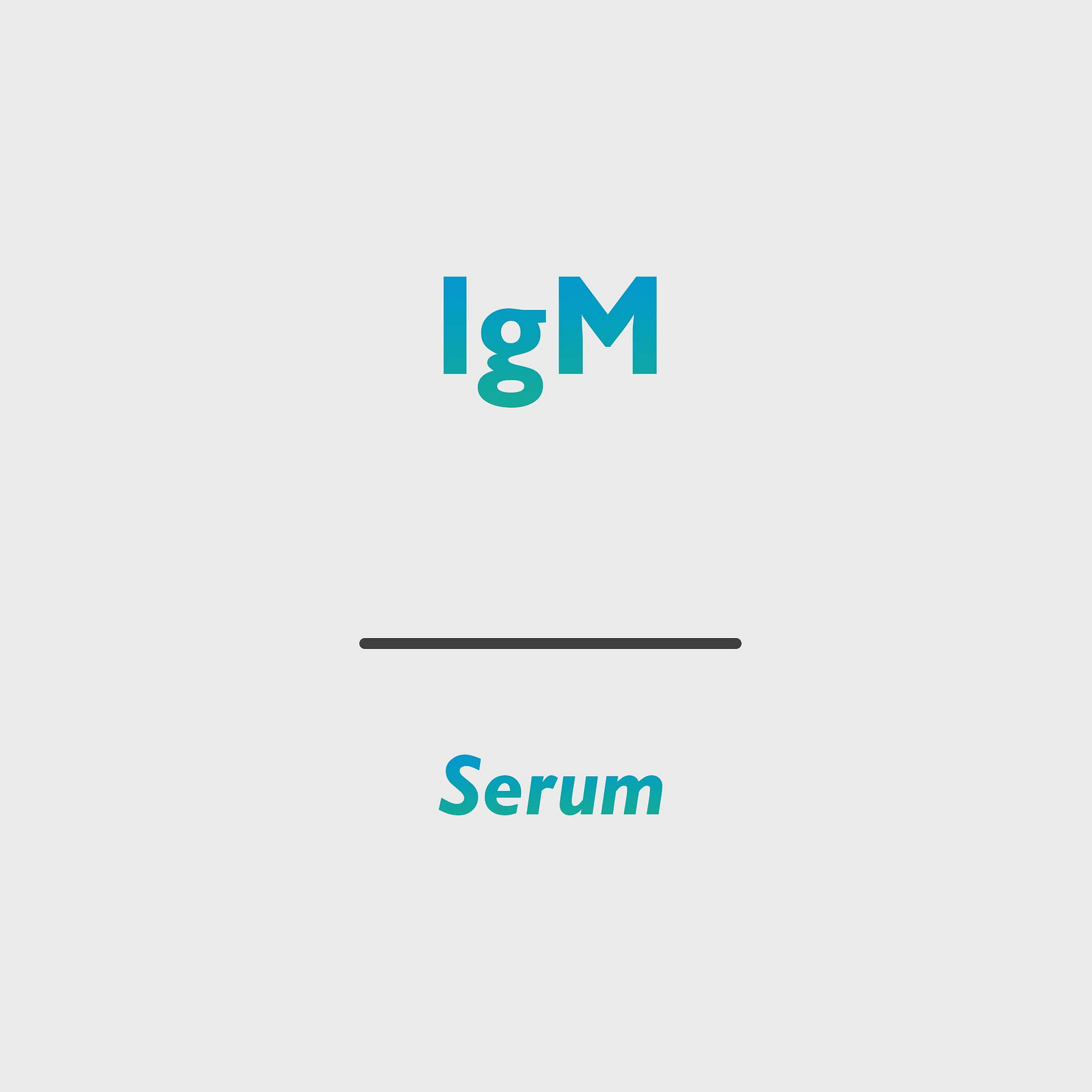 IgM (Immunglobulin M)