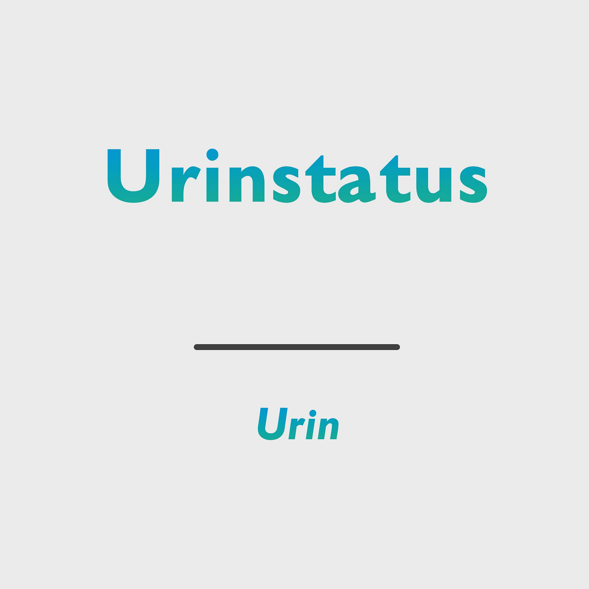 Urinstatus (Urinalysis)